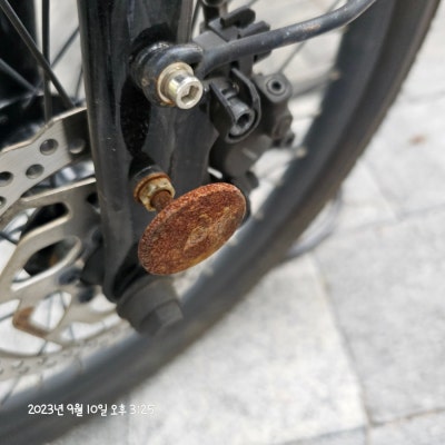 갤러리 이미지