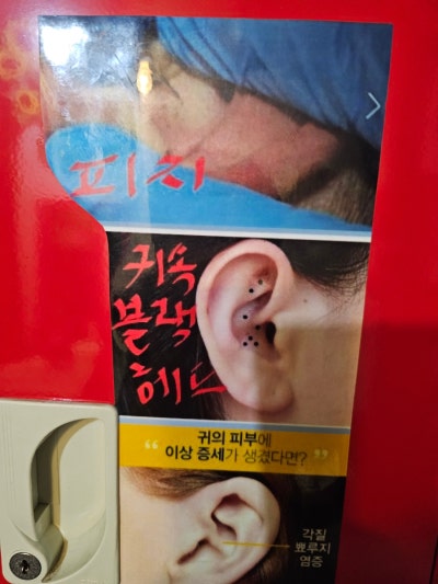 갤러리 이미지