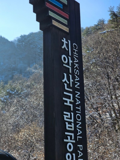 갤러리 이미지