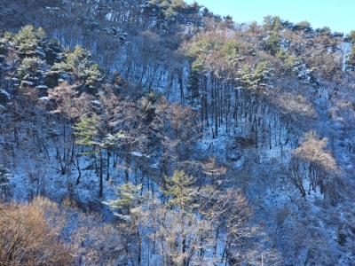 갤러리 이미지