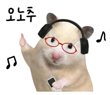 홍대 명품빈티지샵 추천 샤넬, 버버리 추천 !!